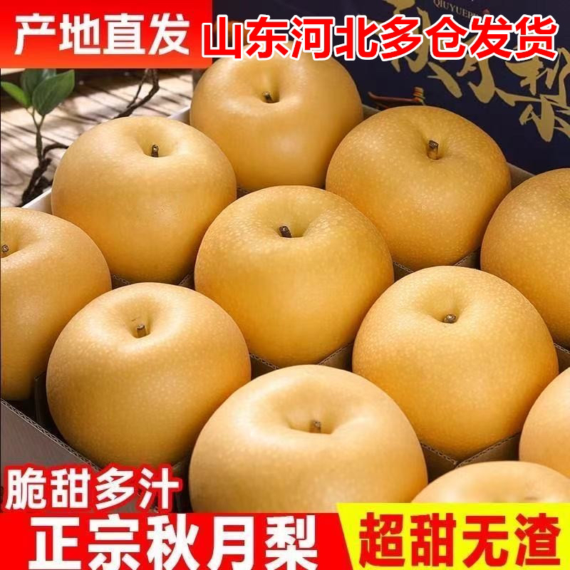 S正宗秋月梨新鲜现摘脆甜多汁应季水果