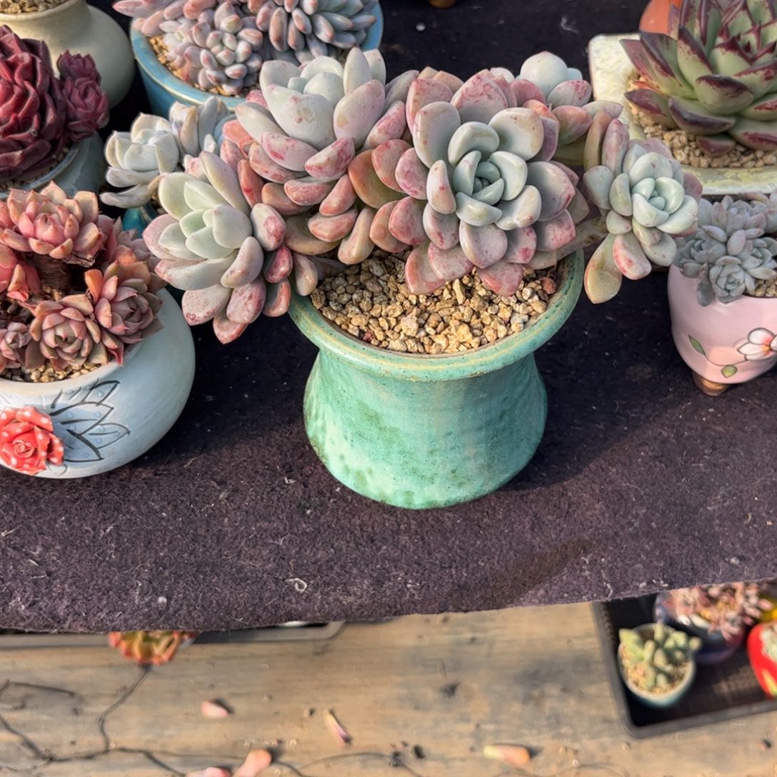 广***宜111111111111111111111111