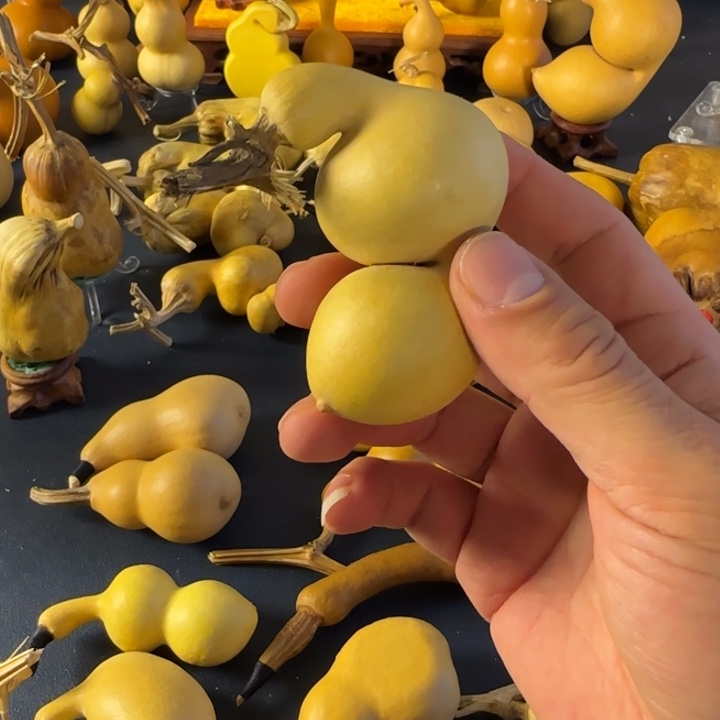 喝***e绒面是符合看看就好哈哈哈哈哈哈哈哈好尴尬