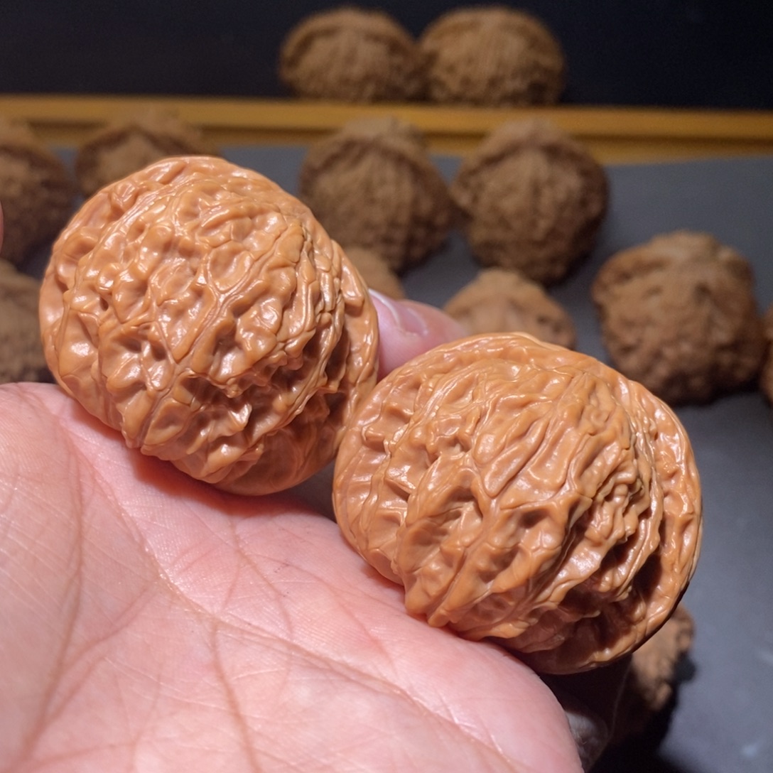 核桃43山西磨盘全品