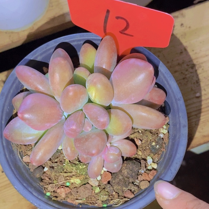 这么多都在一起呢笑