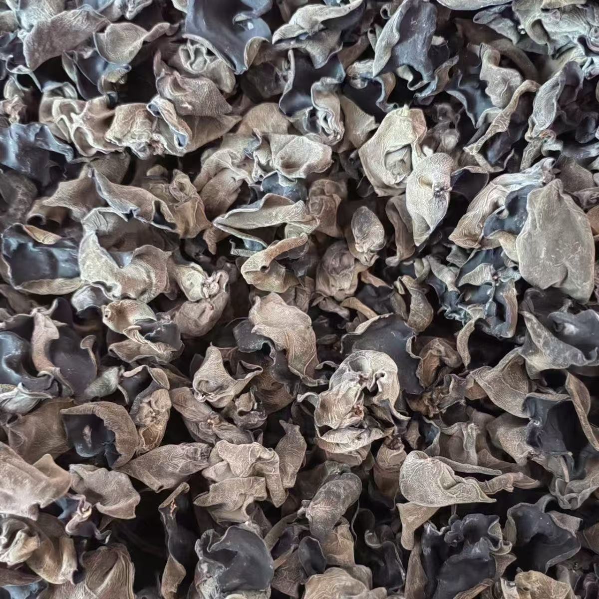 【净重一斤】头茬木耳干货白背脆木耳肉厚适合火锅食材 鹿茸菇