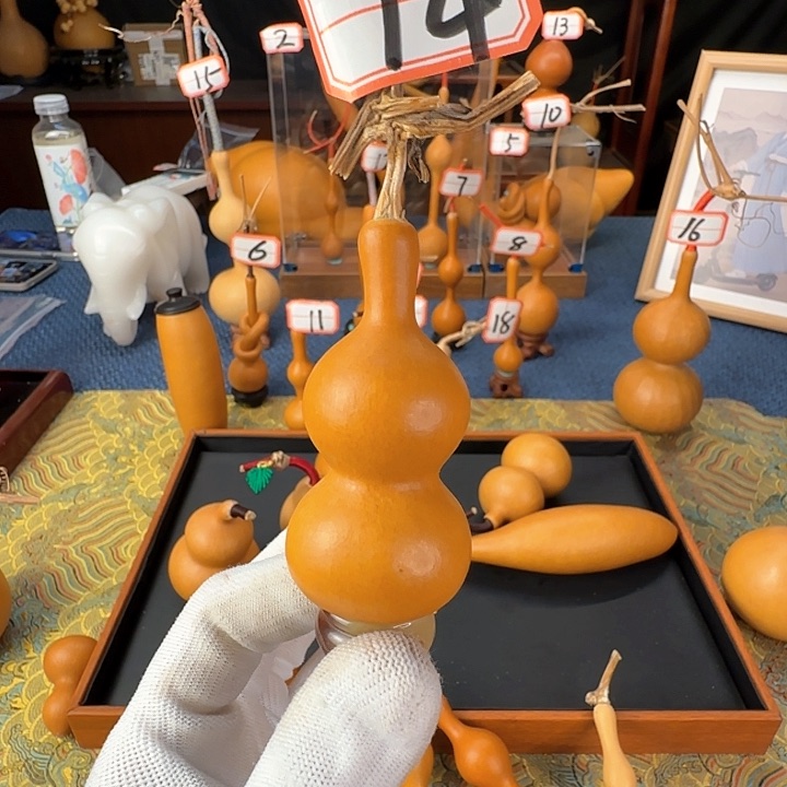 解*.葫芦葫芦葫芦家乐葫芦葫芦葫芦葫芦