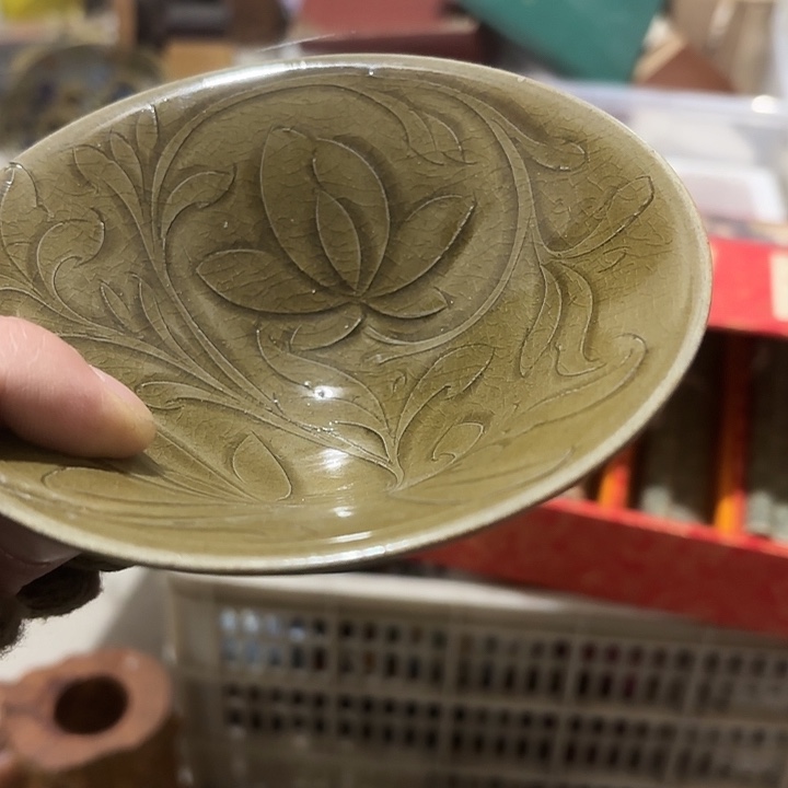 非***飞杂色豆（科檀/科特迪瓦檀木）