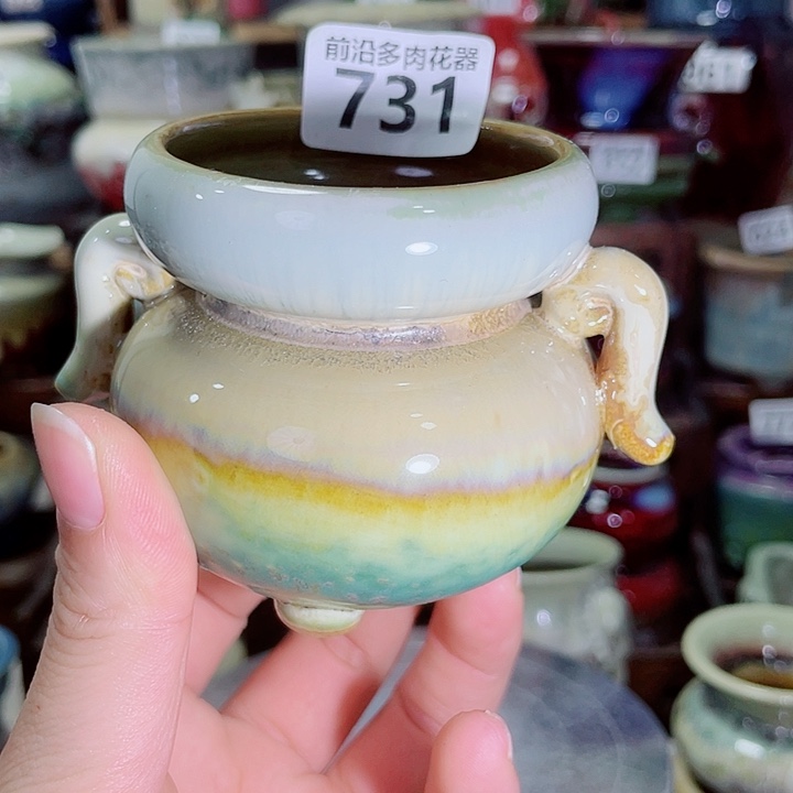 狼盆内口径5高度6