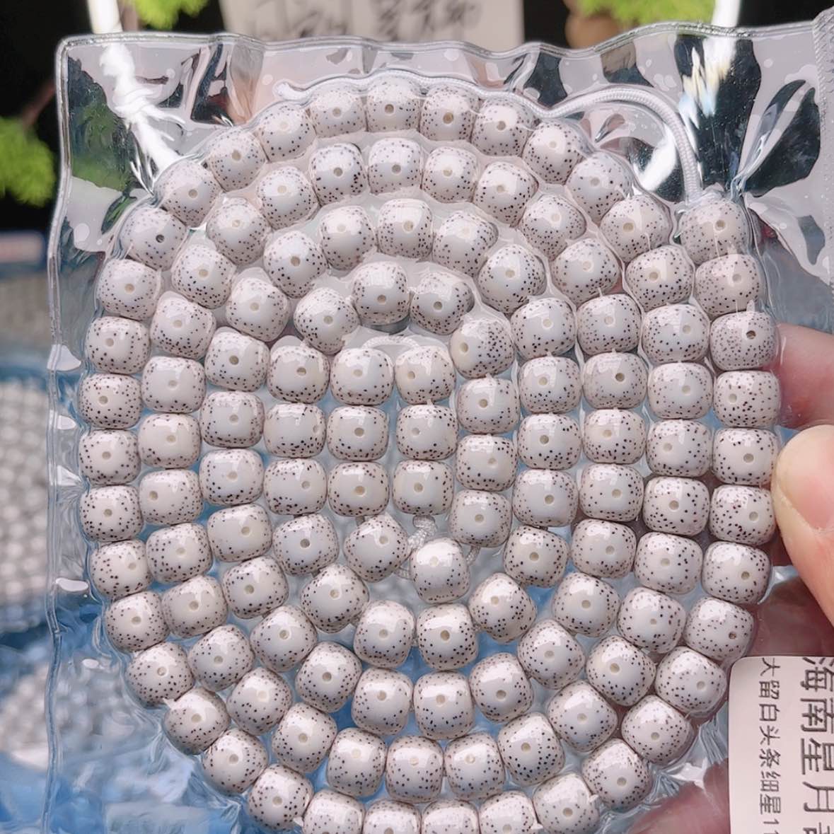 【闪购商品】星月菩提吊坠魏星月