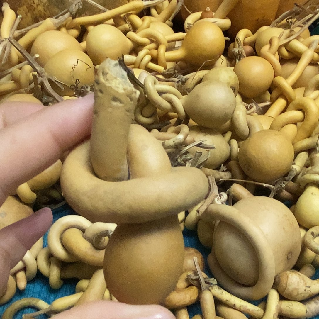 清***徐一把葫芦便宜漏了