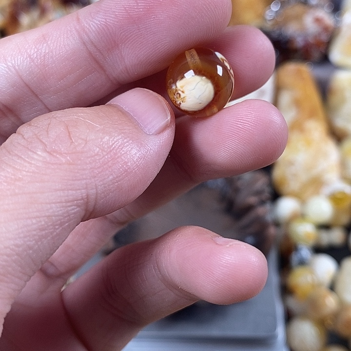 裸石琥珀未镶嵌我