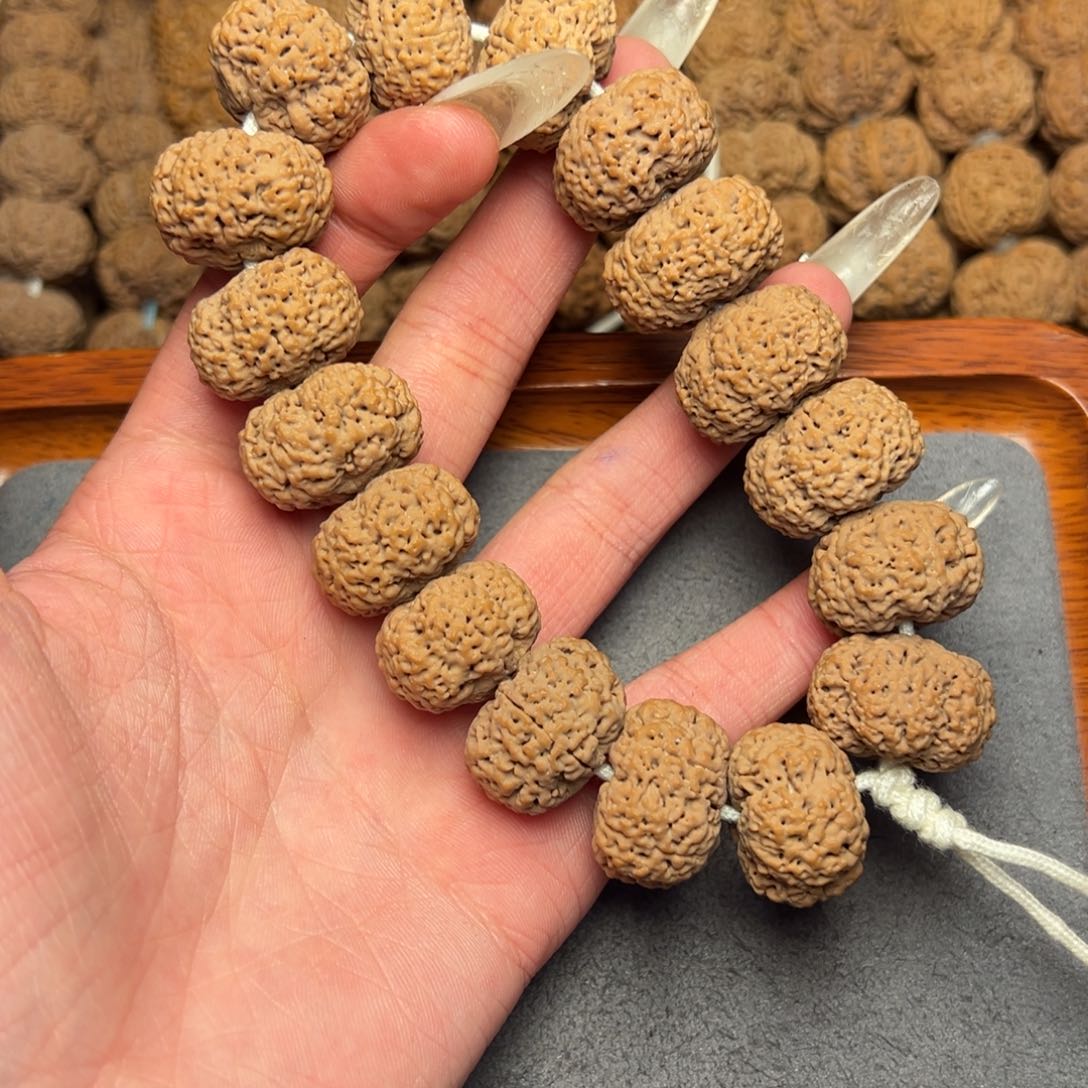 菩提3号尼泊尔大金刚22.5夹板菠萝蜜