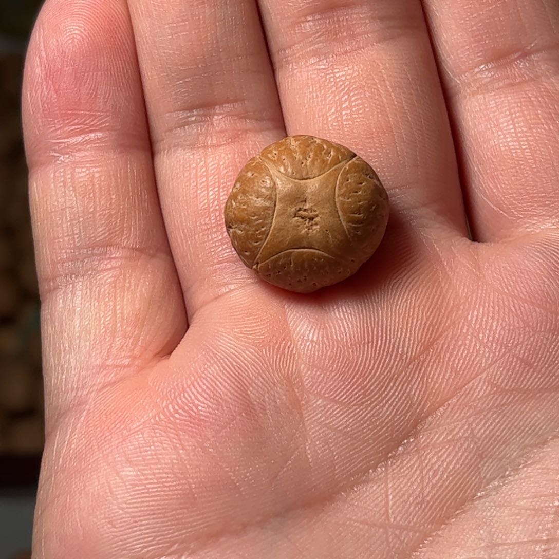 桃核吊坠19.4mm麒麟眼，开孔不退，偏远不包