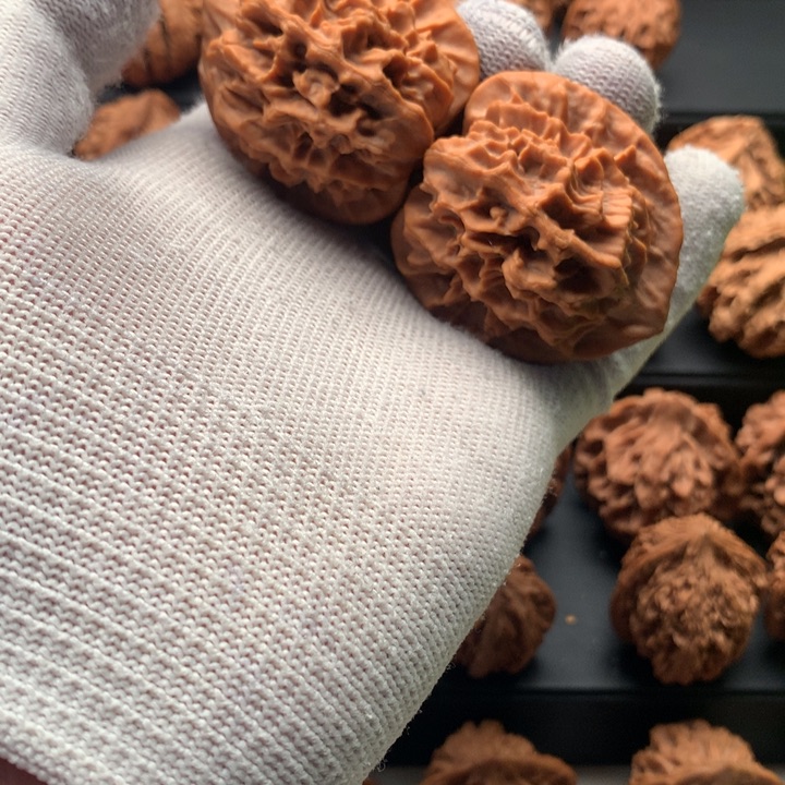 其他核桃秦岭的一个