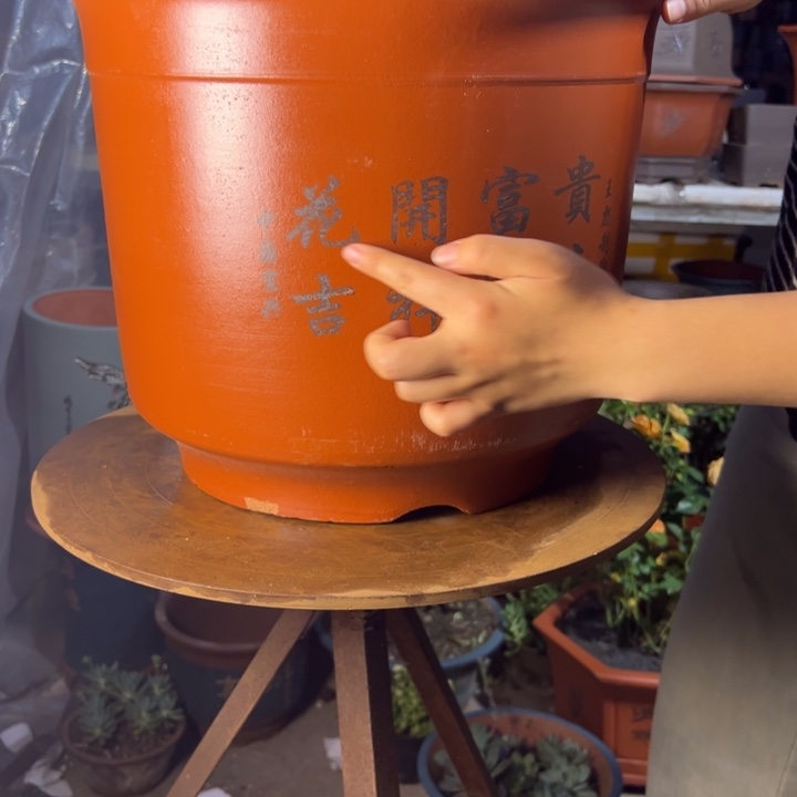 宜兴紫砂花盆里41平海