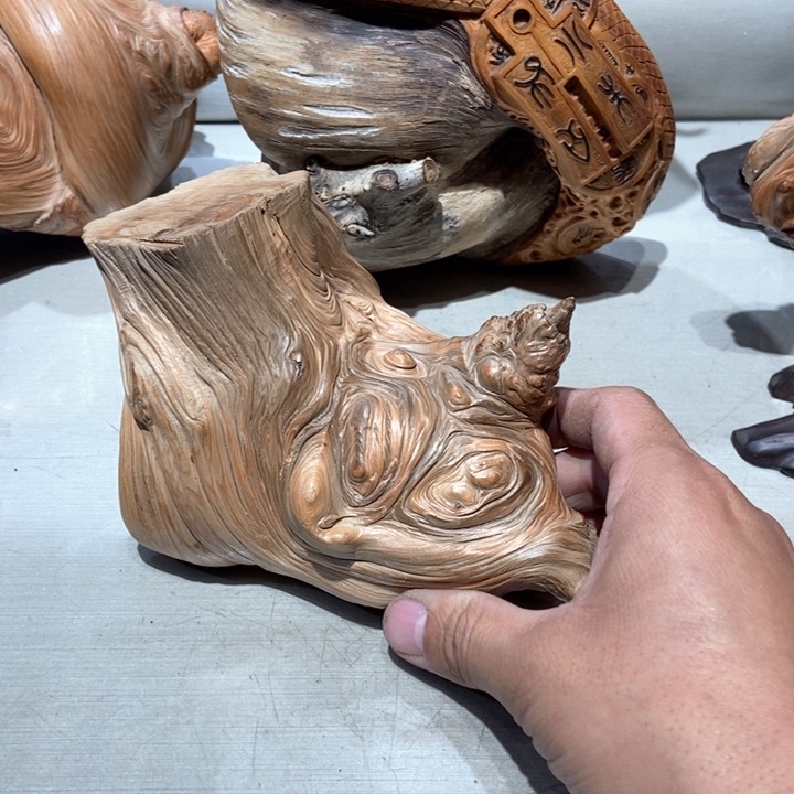 柏木1****1太行山区柏木木木