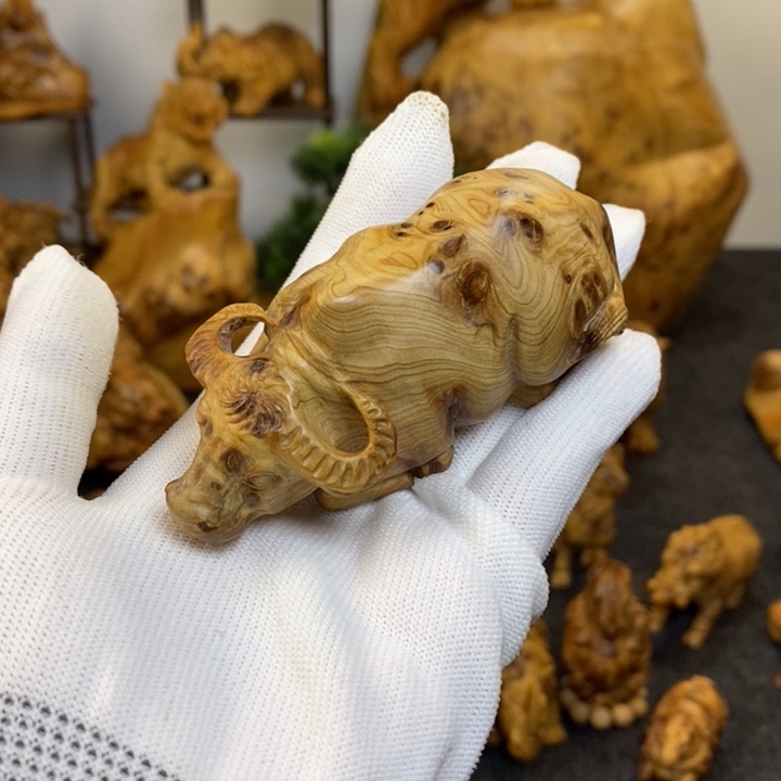 柏木用****6牛气冲天对牛弹琴