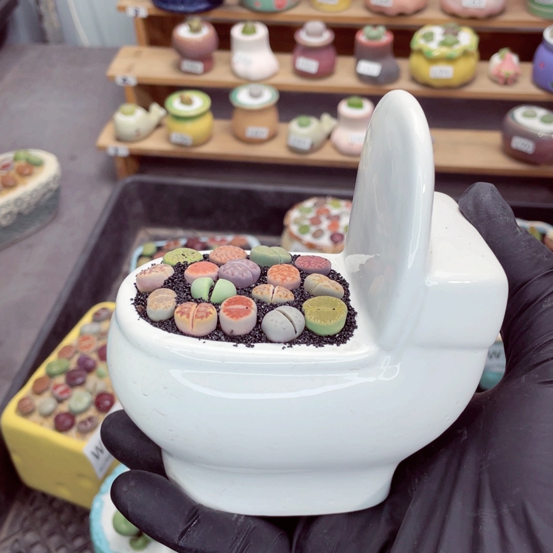 夜间零下地区拍保温箱w3966