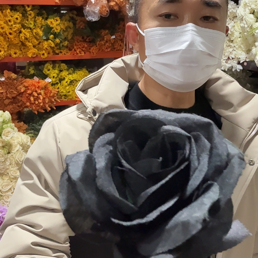 531号大支黑色玫瑰50支
