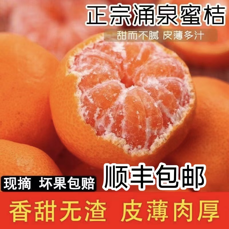 10浙江正宗临海涌泉蜜桔宫川新鲜当季水果鲜甜无核无渣产地直发