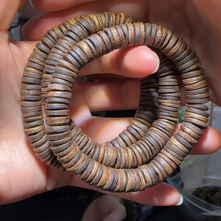 沉香手串千里香药片珠1.0手串12克多样性发其一