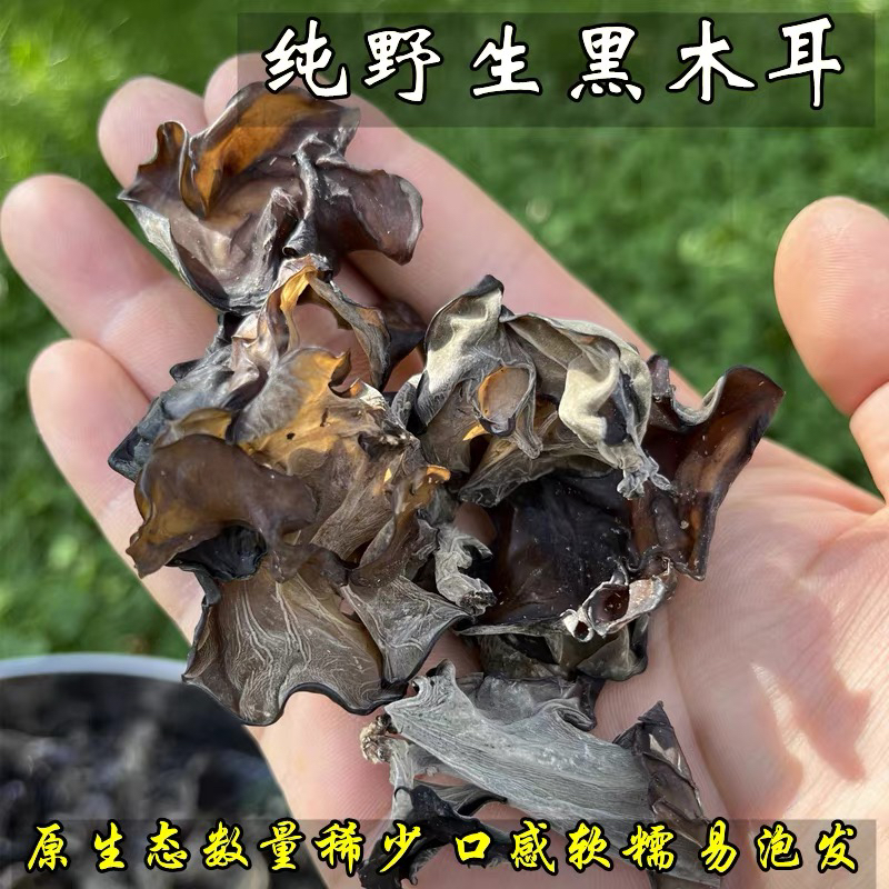 头茬脆木耳干货 单片无根 火锅凉拌食材