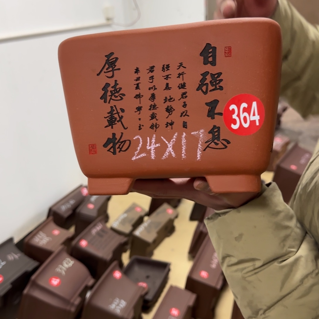 紫砂花盆呜呜呜呜