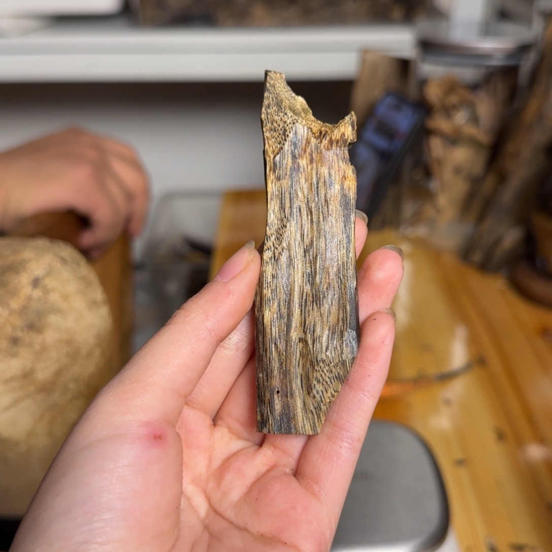 沉香白奇虫漏香7.9克