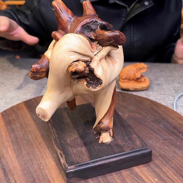 柏木（崖柏）关注一下