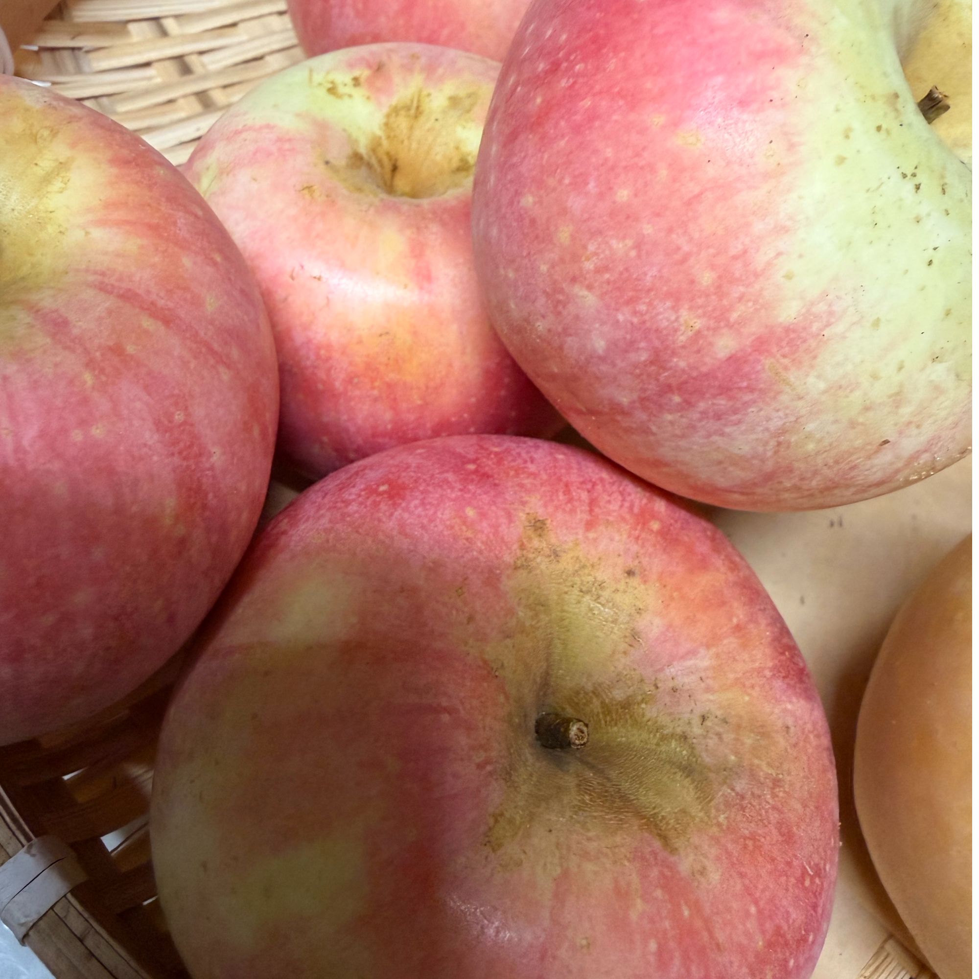 瓦房店老树小国光苹果酸甜口9斤顺丰包邮