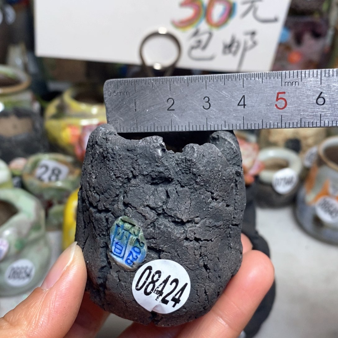 花盆拍3送一个小礼物