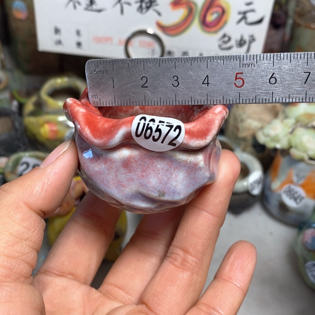 花盆拍5送一个小礼物