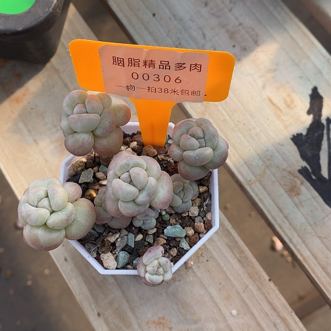 肸***筱306天无退咯哦哦哦哦哦小雨