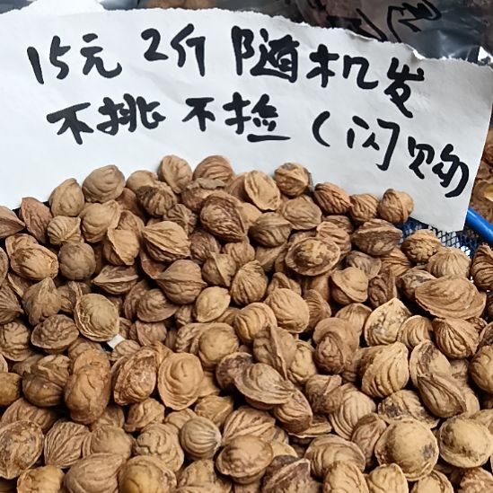 吊坠桃核野生山桃核龙纹15元2斤随机发的