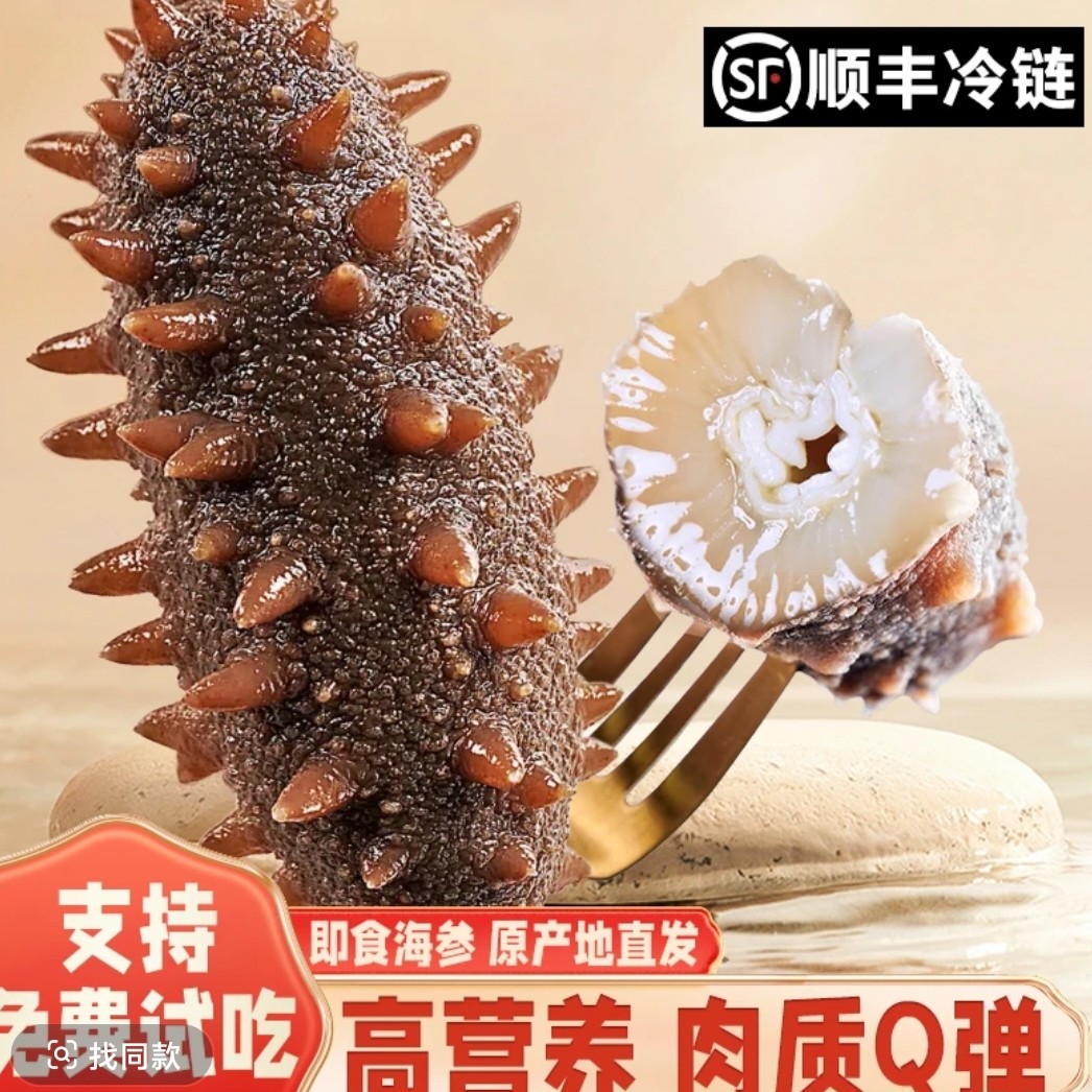 【新号开播福利】4-6头500g大连正宗辽刺参 鲜食海参