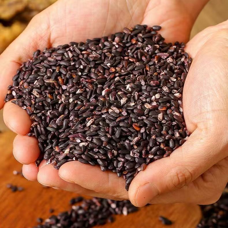 东北黑糯米正宗血糯米紫米当季新米农家黏米粘米包粽子饭团专用