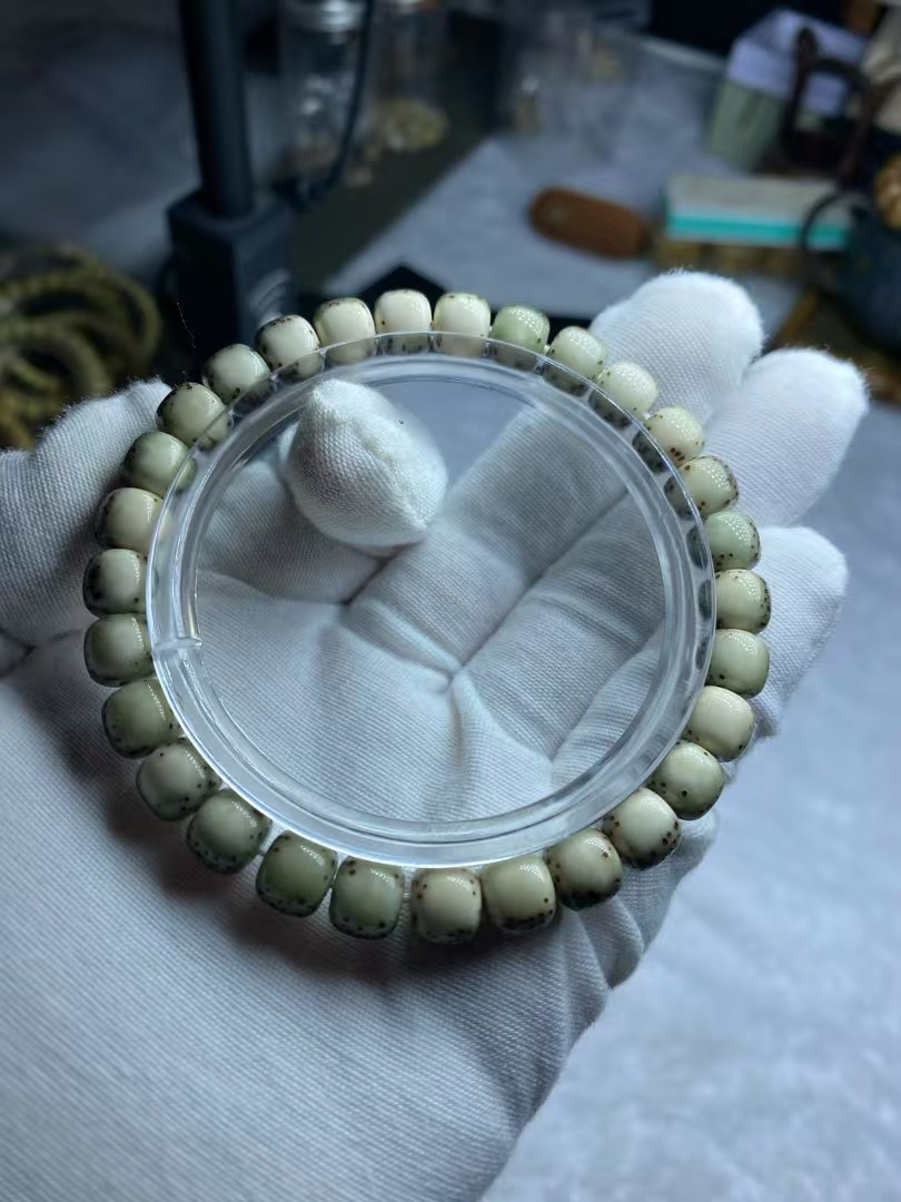 星月菩提绿背河豚同枝果9✖️8原生态糯冰石玉料单圈手串