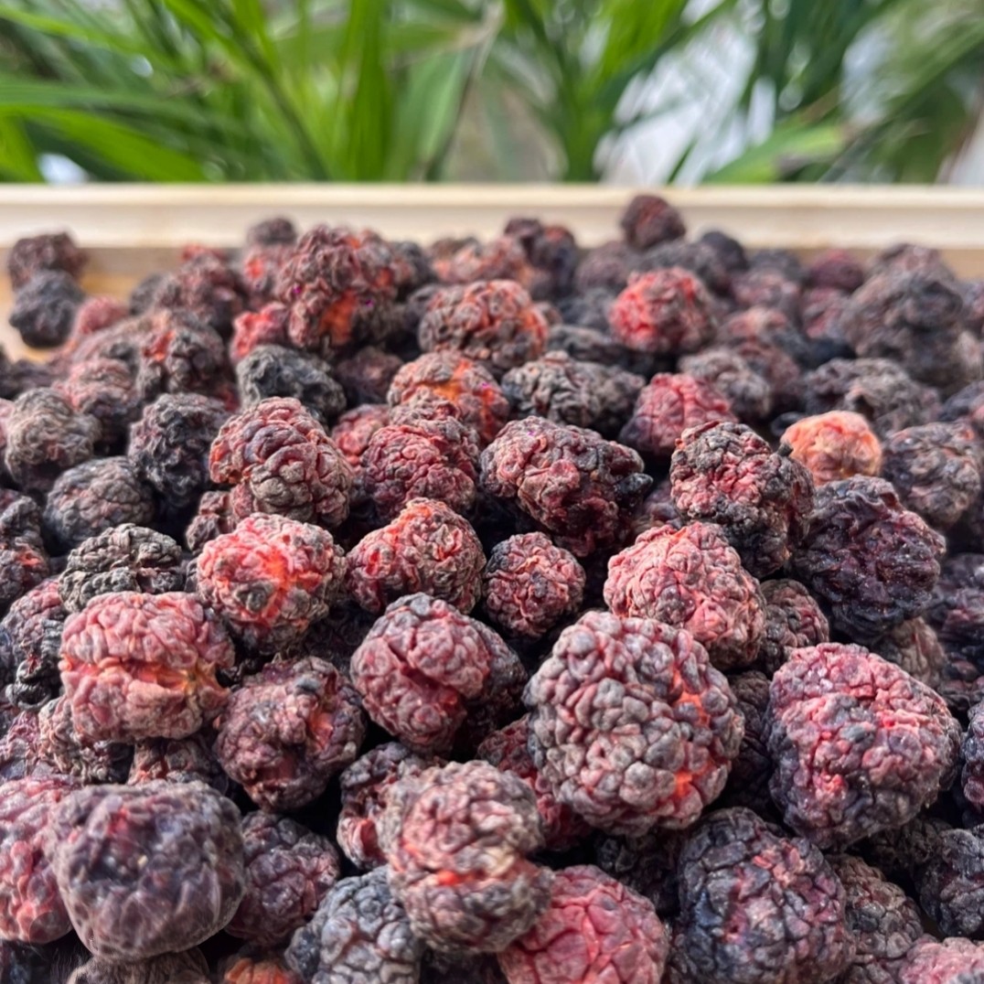 【藏地拉姆】高原藏区  帝王果