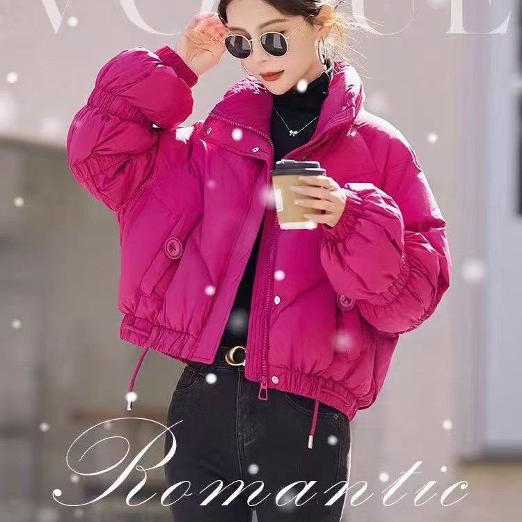 立领洋气羽绒服潮流纯色短款韩版常规加厚