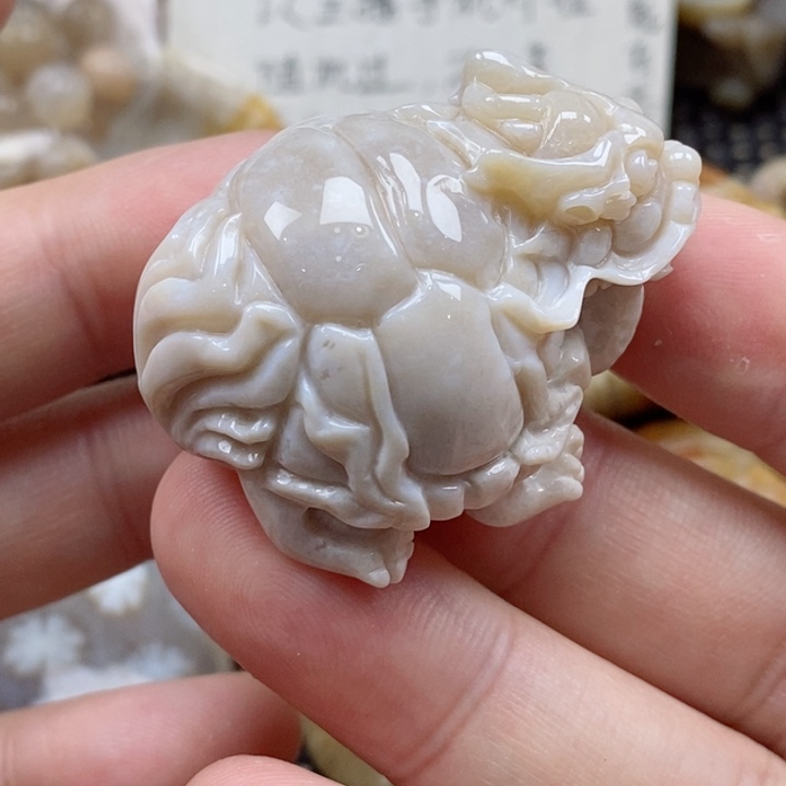 硅化珊瑚（珊瑚玉）颈饰未镶嵌