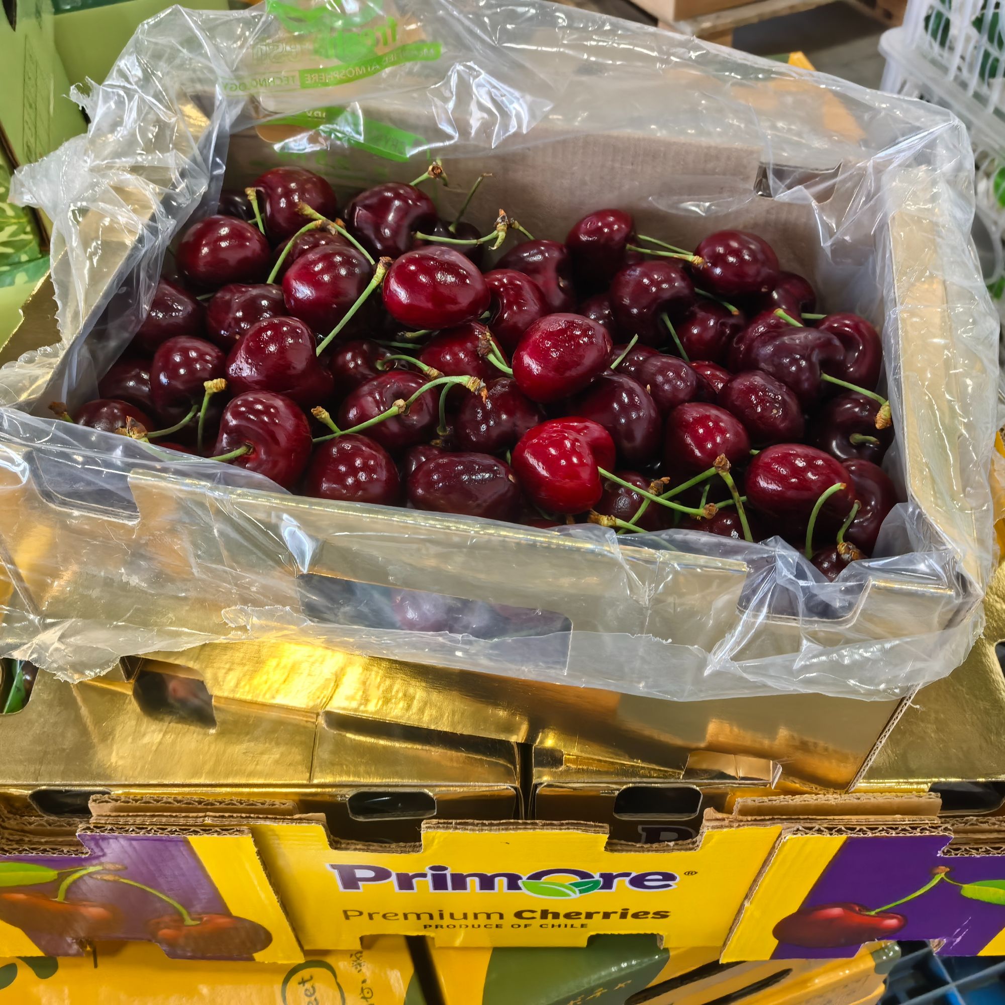 【金都乐原装5斤】JJ5斤239元/JJJ5斤279元智利空运桑提娜车厘子 明日达（内附果径卡）桑提娜樱桃智利共和国