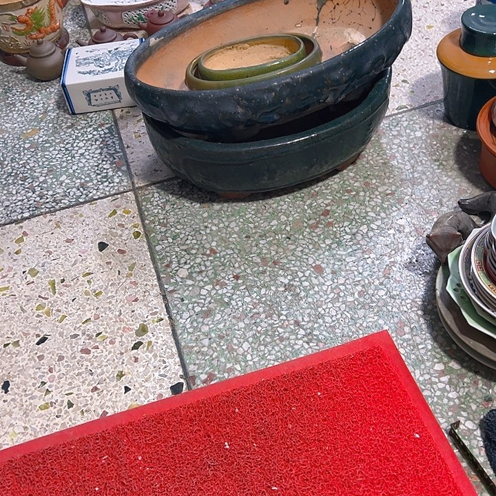 蟹*。。。。。。。。。。。。。。