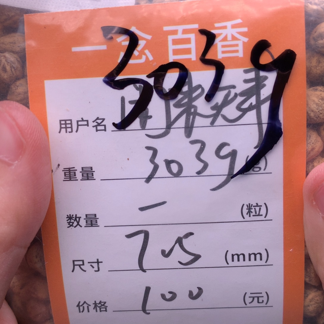 闲****热振柏香脖挂散籽