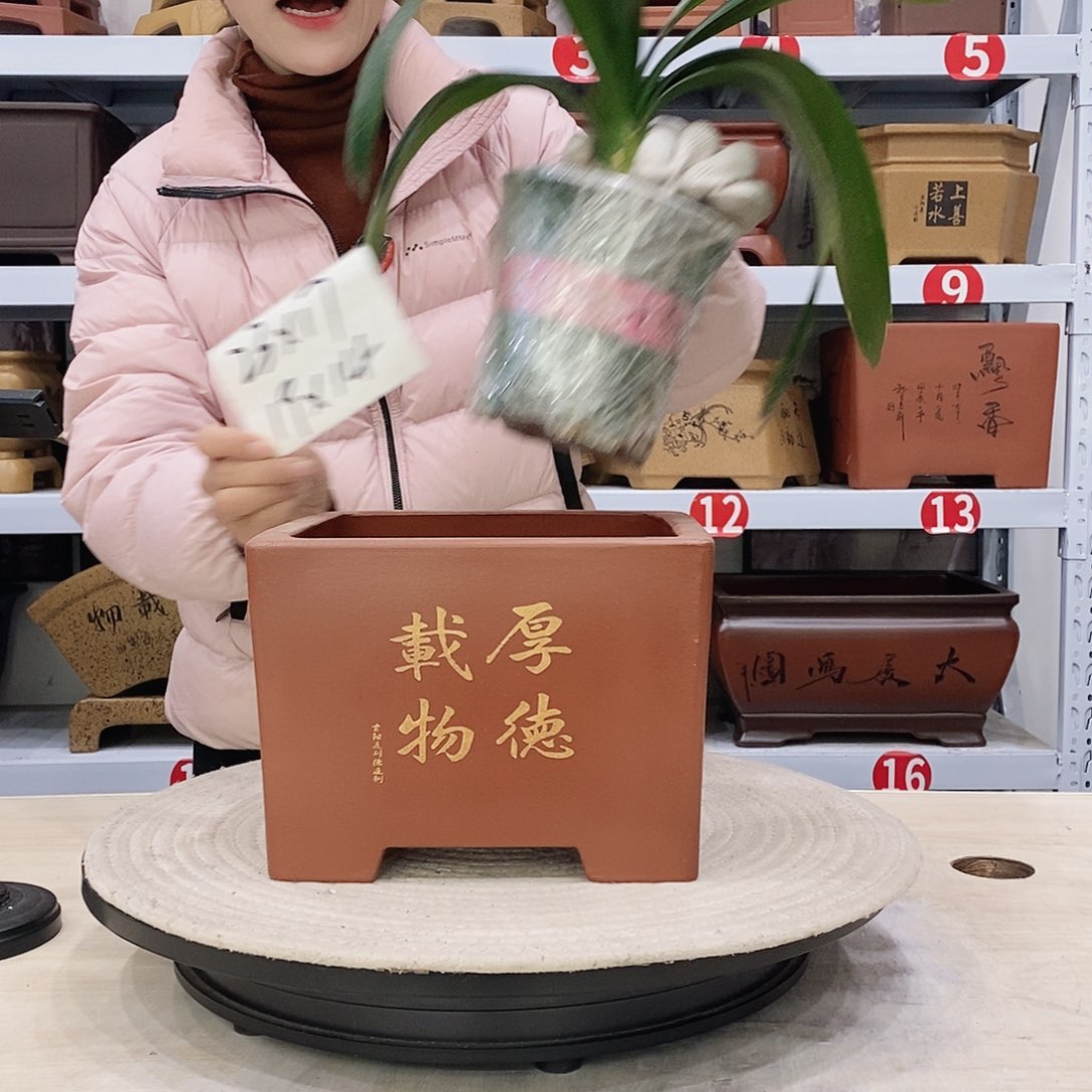 紫砂花盆紫砂花盆