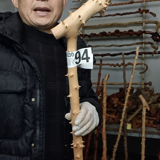 用***0香榧木高山 檬子木文玩料