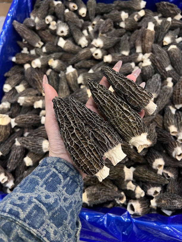 羊肚菌系列头茬货