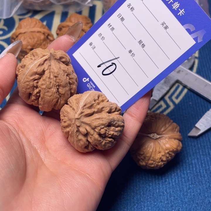 文玩核桃把件敬***杯10霸王龙