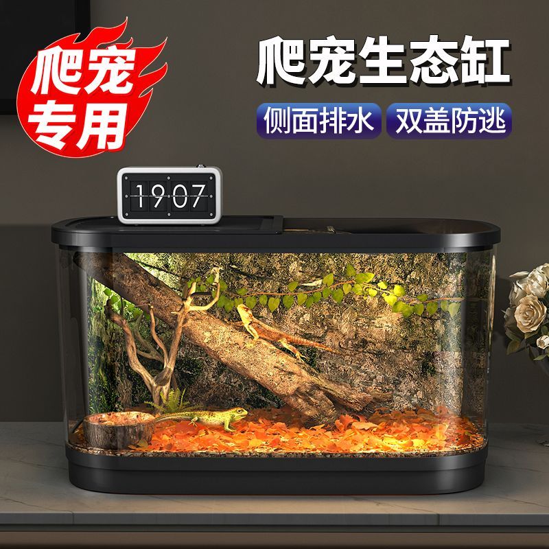 爬宠饲养箱陆龟角蛙饲养盒生态造景蜗牛乌龟缸寄居蟹守宫躲避屋
