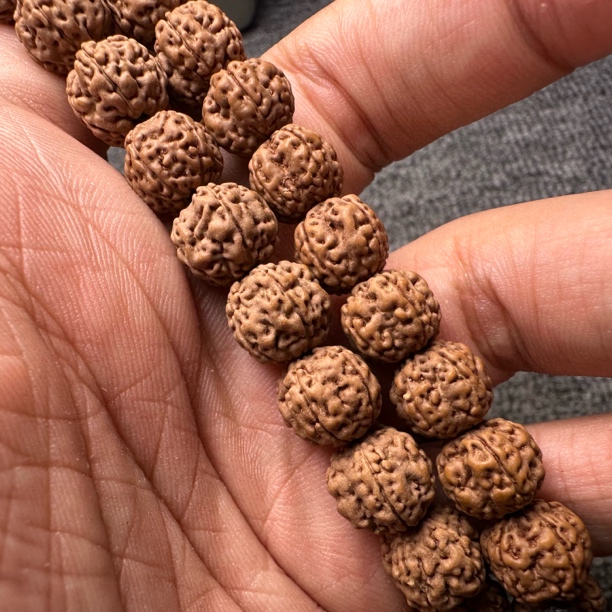 印尼东哇岛老树梅花单圈手持 颗颗正梅花小金刚手持