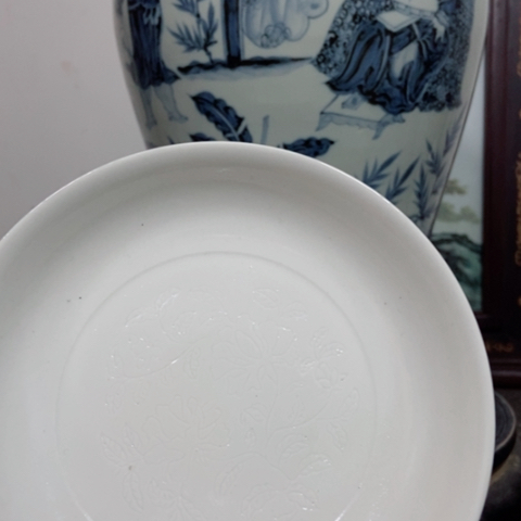 杯西*我们都市的生活