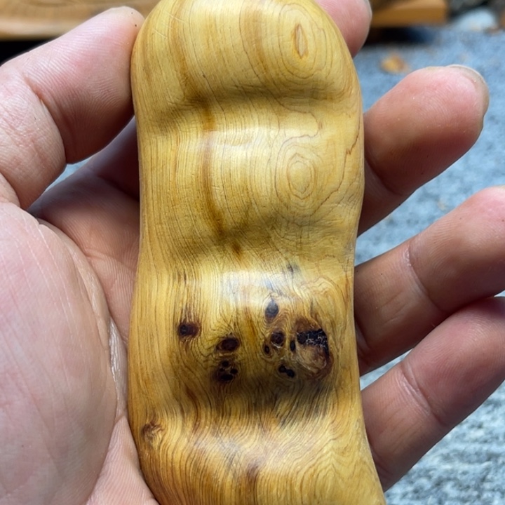 柏木（崖柏）崖柏63
