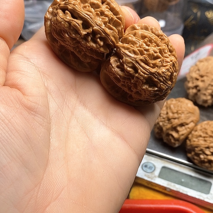 桃核把件白狮子头有修