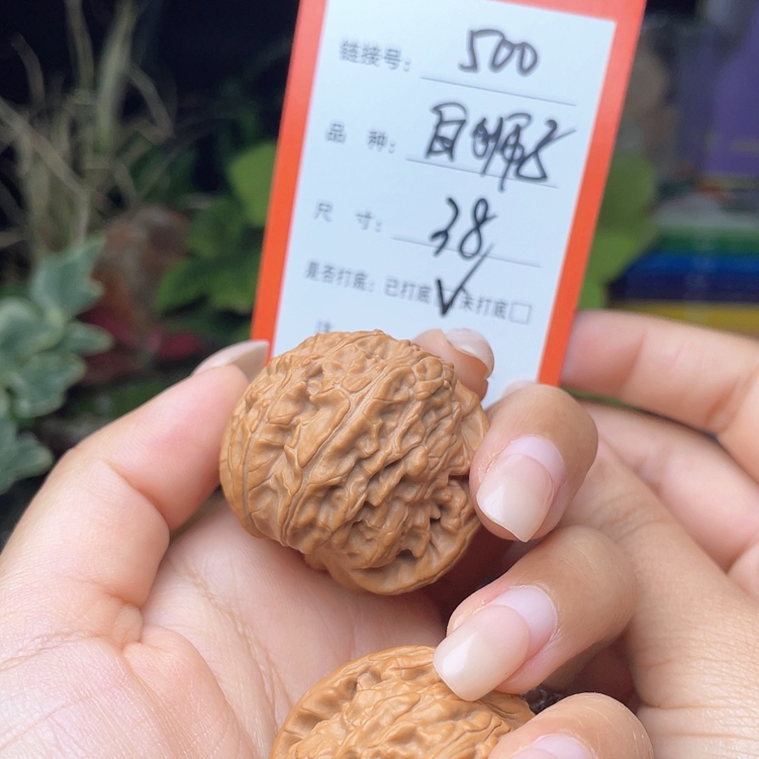 文玩市场核桃手～500